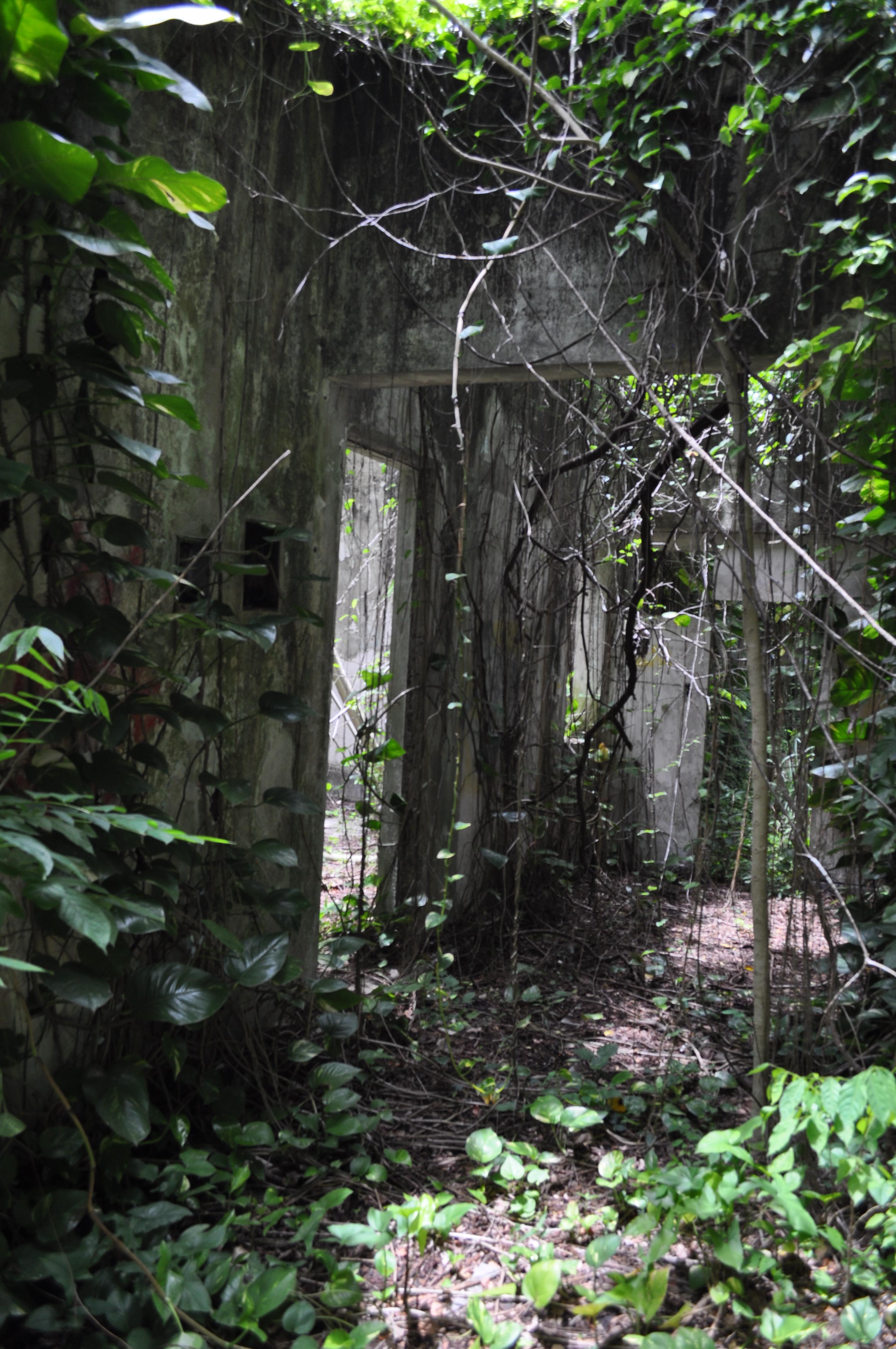 Antigua Lechería y Residencia de la Facultad de la Universidad de Puerto Rico - San Juan (Río Piedras) - 2015 00044